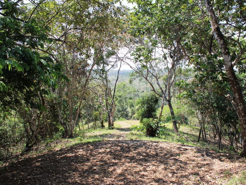 Propiedad en Cóbano