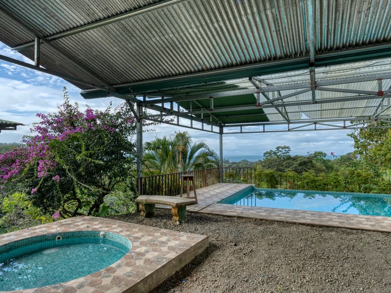 Land at Bahía Ballena