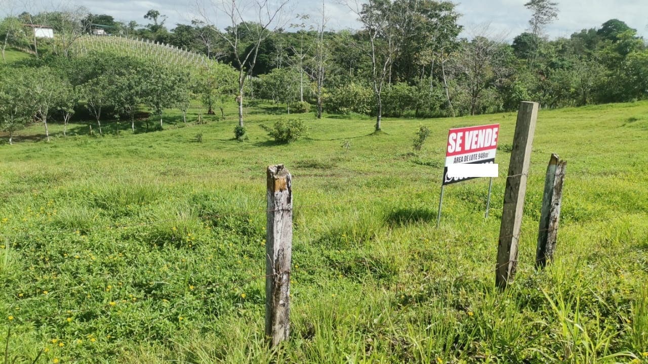 Terreno en La Palmera
