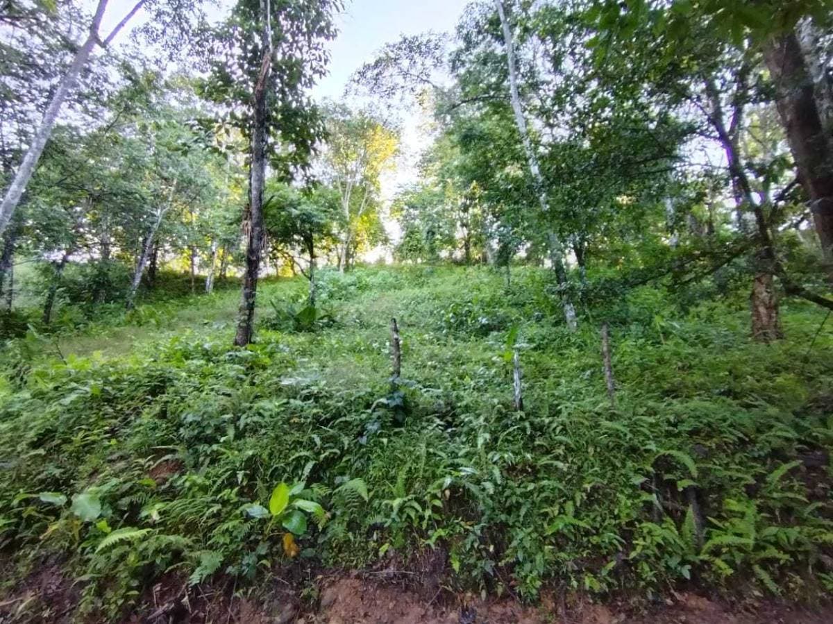 Property at Tres Ríos