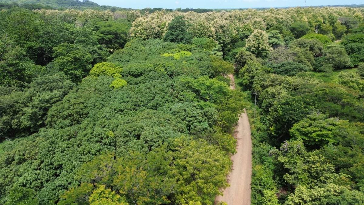 Finca en San José Pinilla