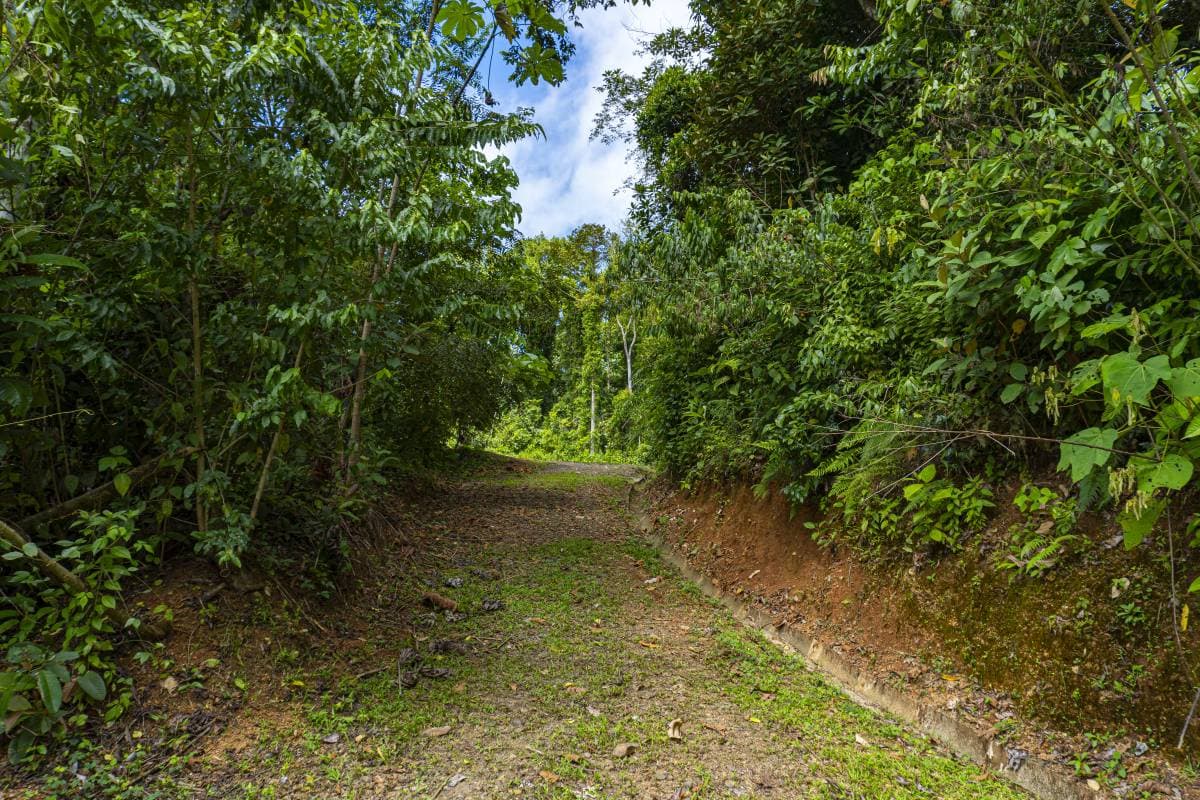 Propiedad en San Buenaventura