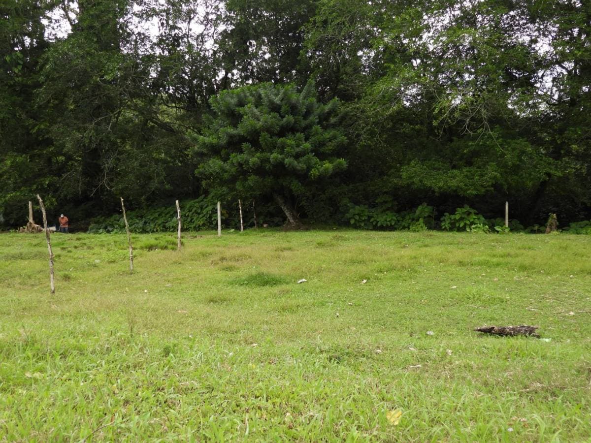 Propiedad en Turrialba