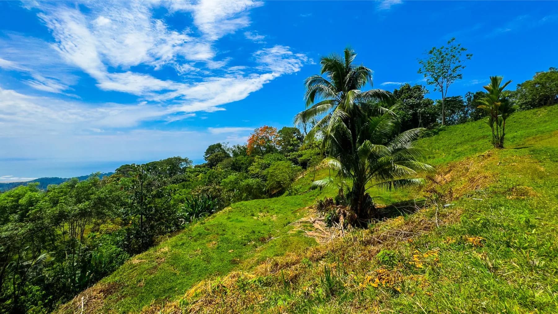Terreno en Puerto Cortés