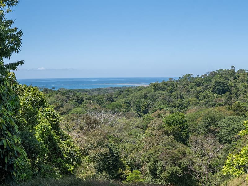 Terreno en Bahía Ballena