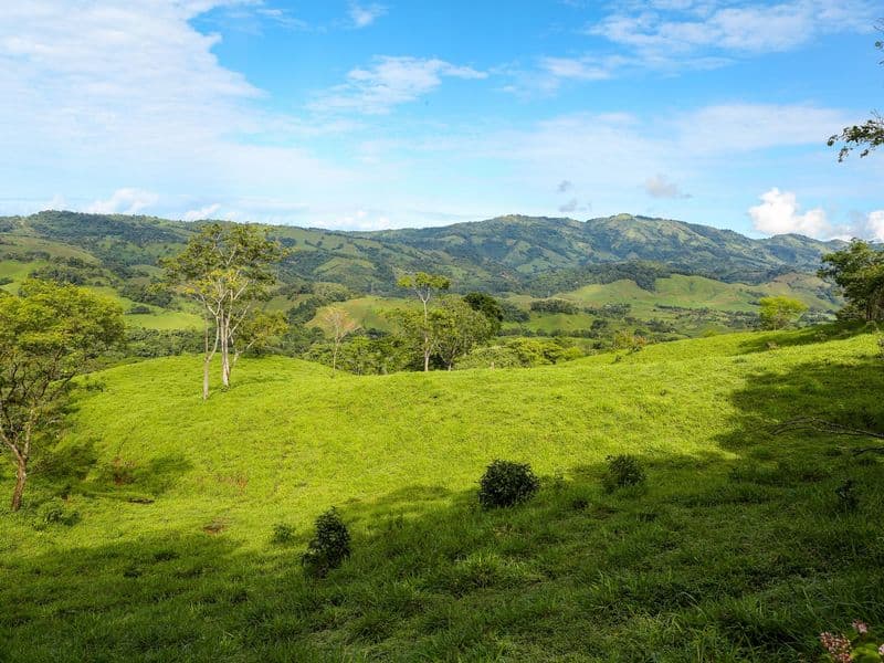 Terreno en Barú
