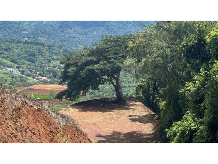 Finca en Jesús