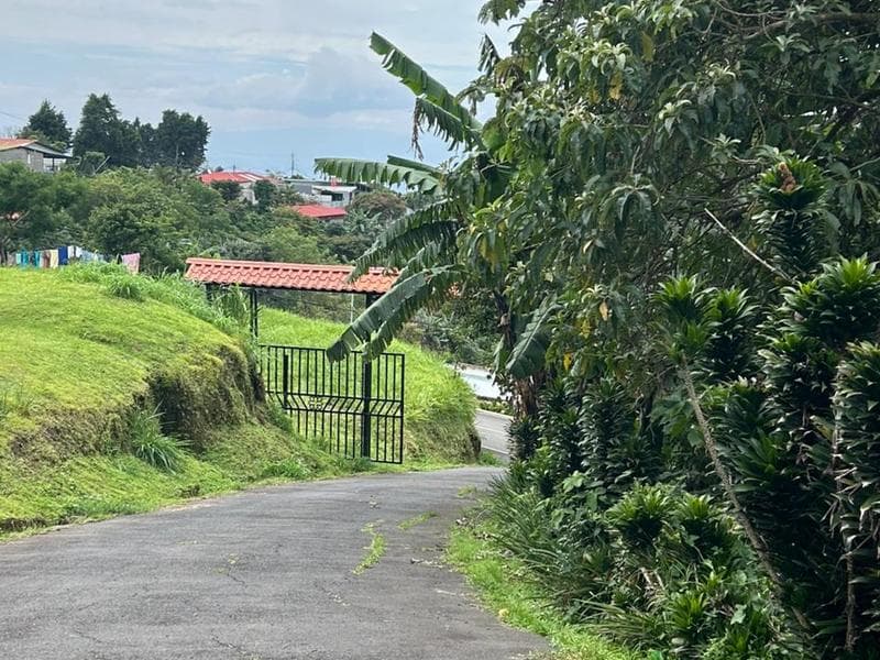 Property at Naranjo