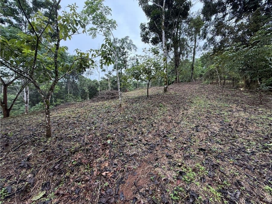 Propiedad en San Ramón