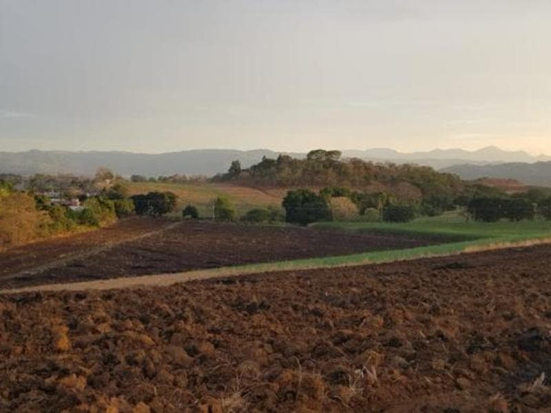 Terreno en Puente de Piedra