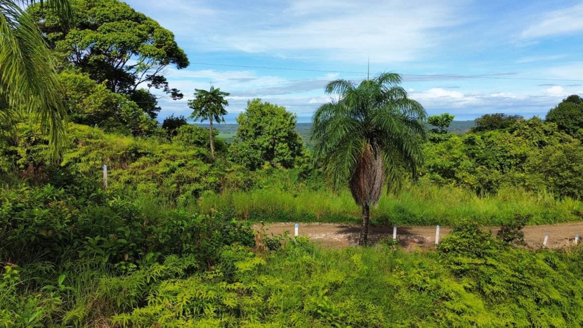 Propiedad en Ojochal