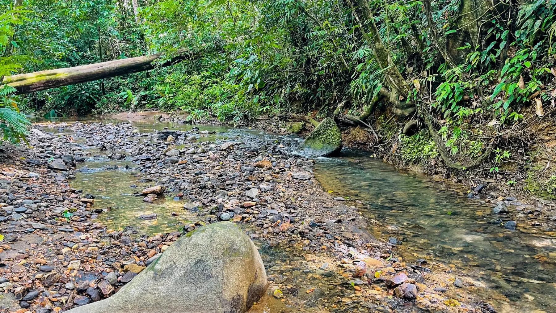 Terreno en Bahía Ballena