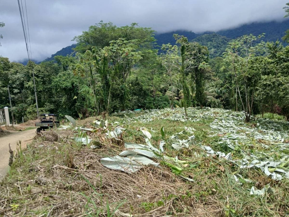 Propiedad en Ojochal