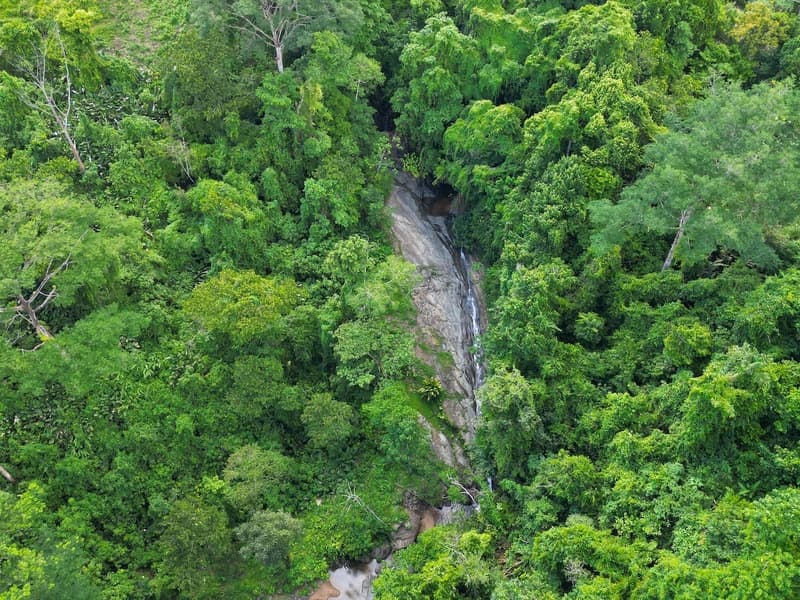 Terreno en Savegre