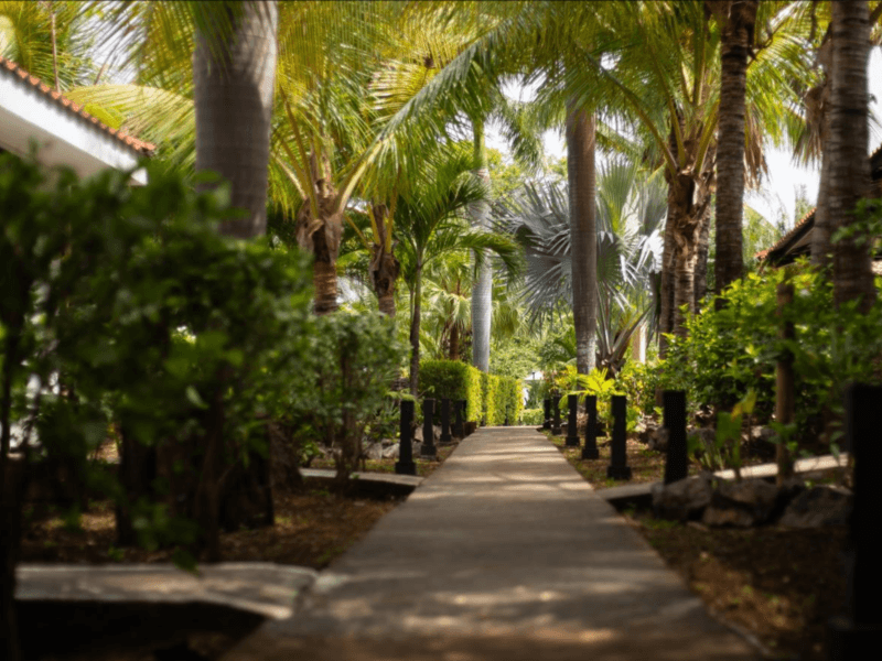 Comercial en Tamarindo