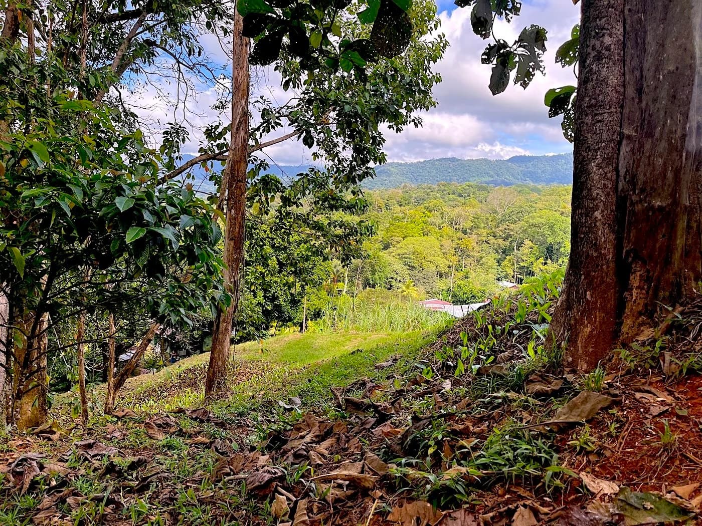 Terreno en Bahía Ballena