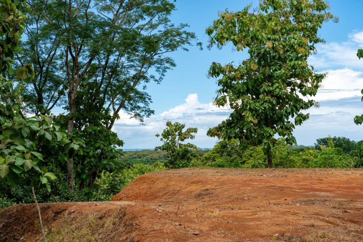 Finca en Savegre