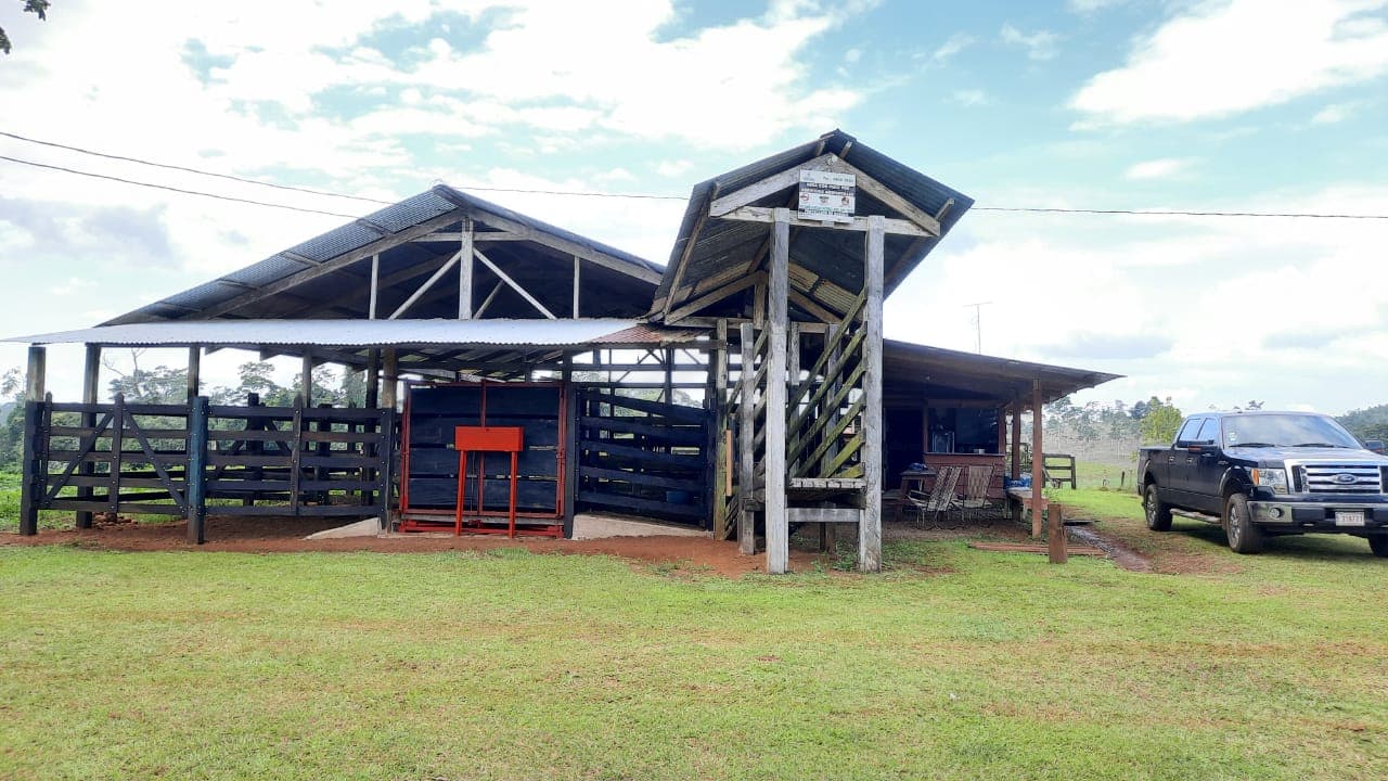 Finca en Cutris