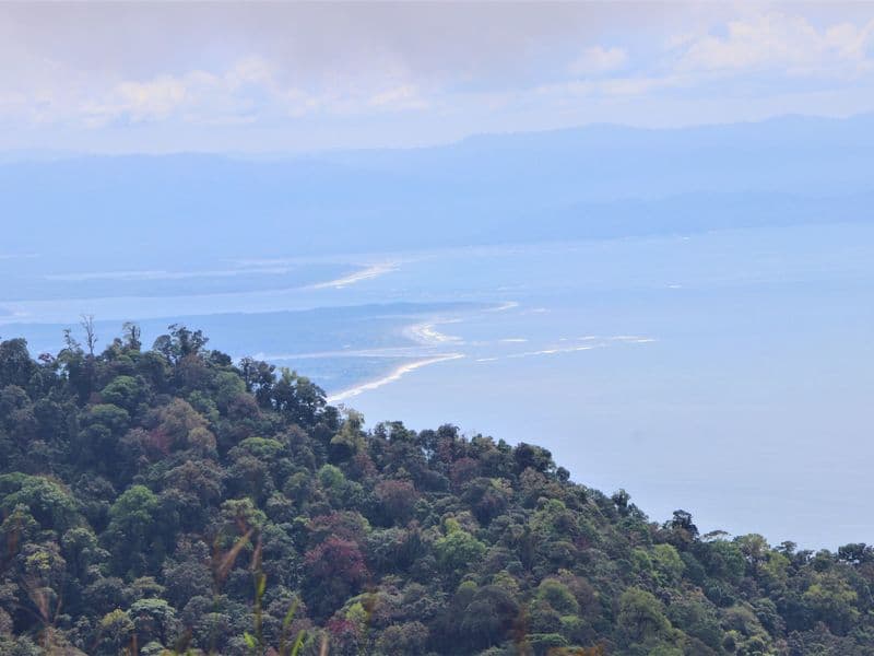 Terreno en Bahía Ballena