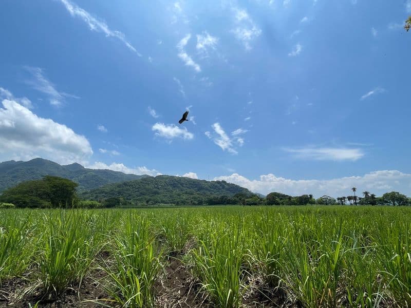 Terreno en Escobal