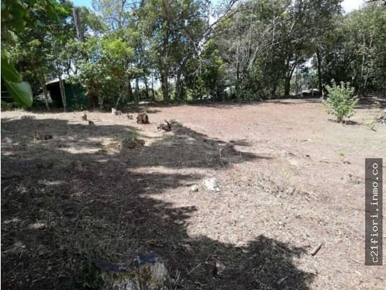 Terreno en Monteverde
