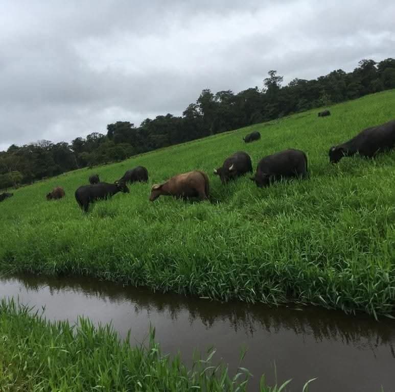 Finca en Llanuras del Gaspar