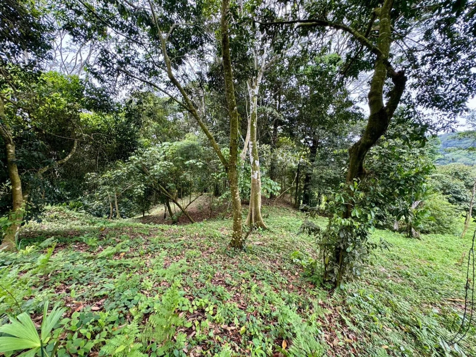 Terreno en Quepos