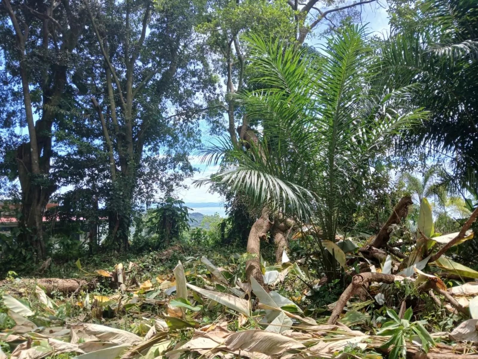 Terreno en Puerto Cortés