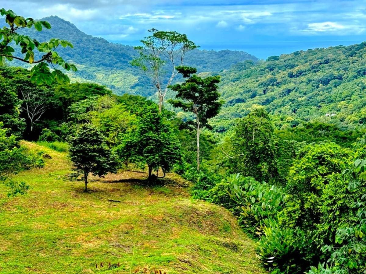 Finca en Palmar