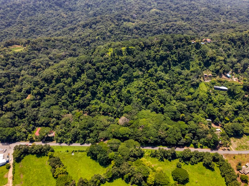 Terreno en Bahía Ballena