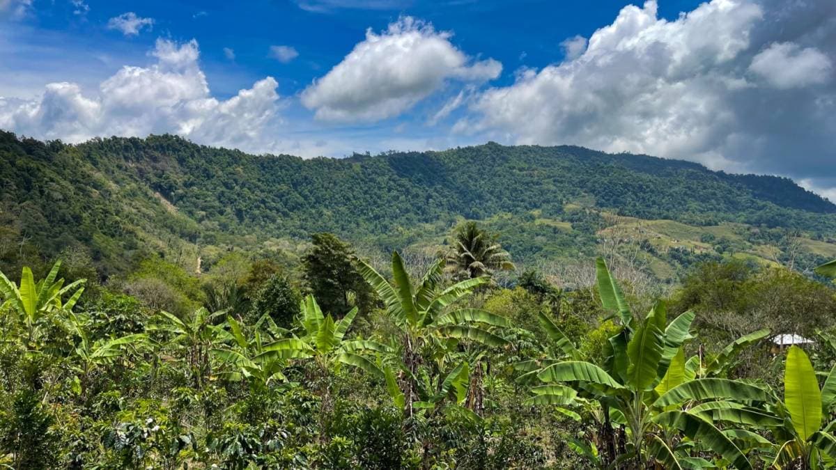 Finca en El General