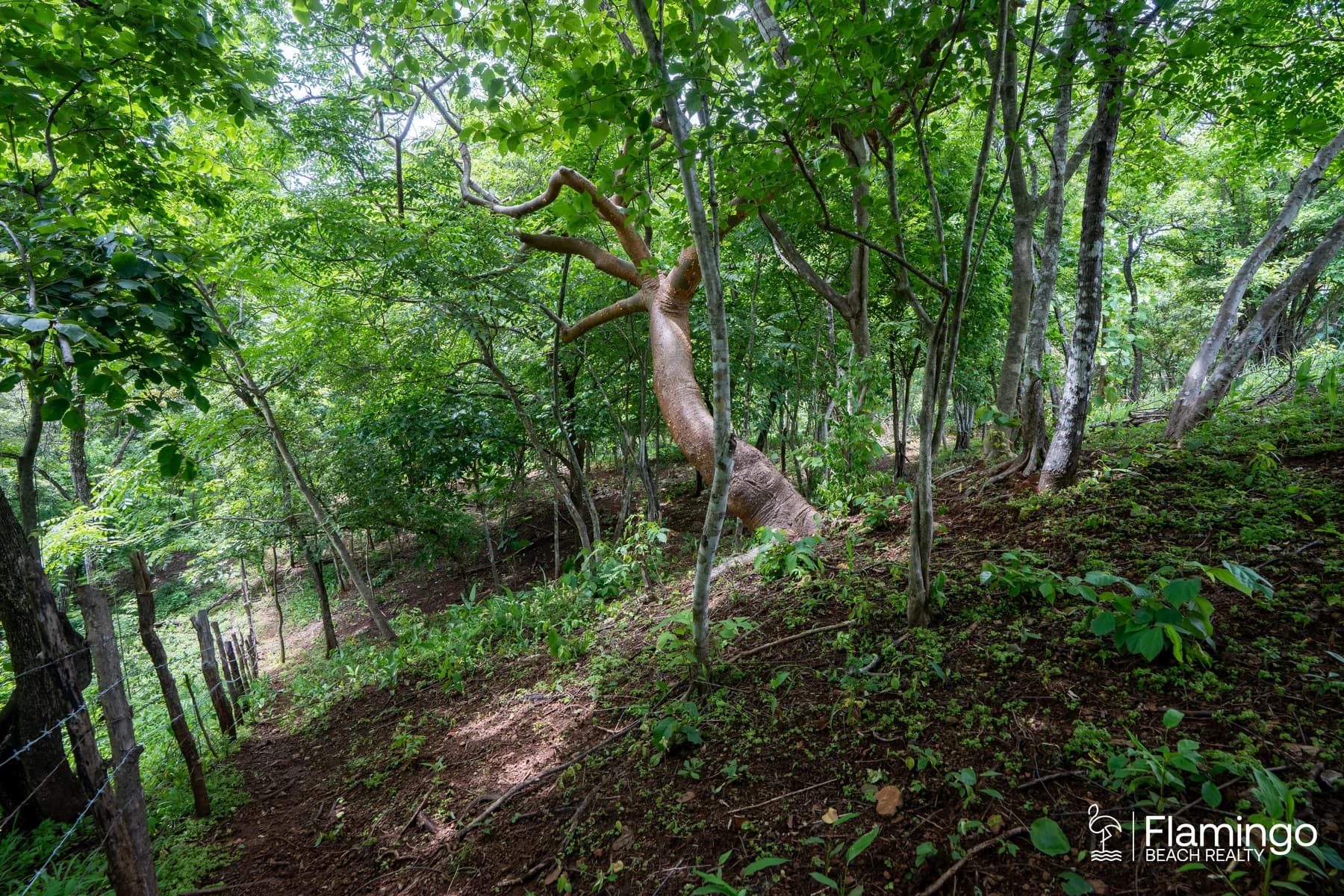 Terreno en Tamarindo