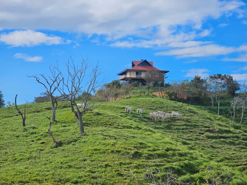 Terreno en Turrúcares