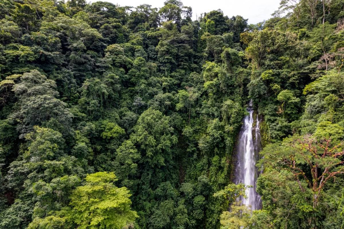 Property at San Isidro del General