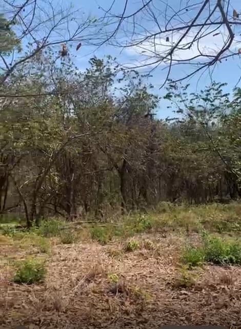 Propiedad en Colorado