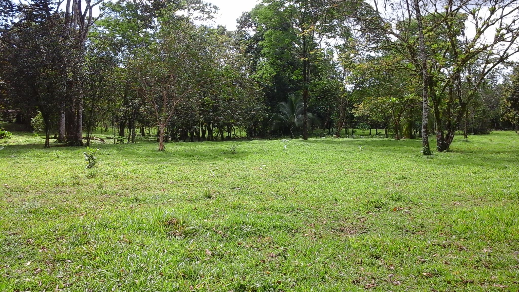Finca en Florencia