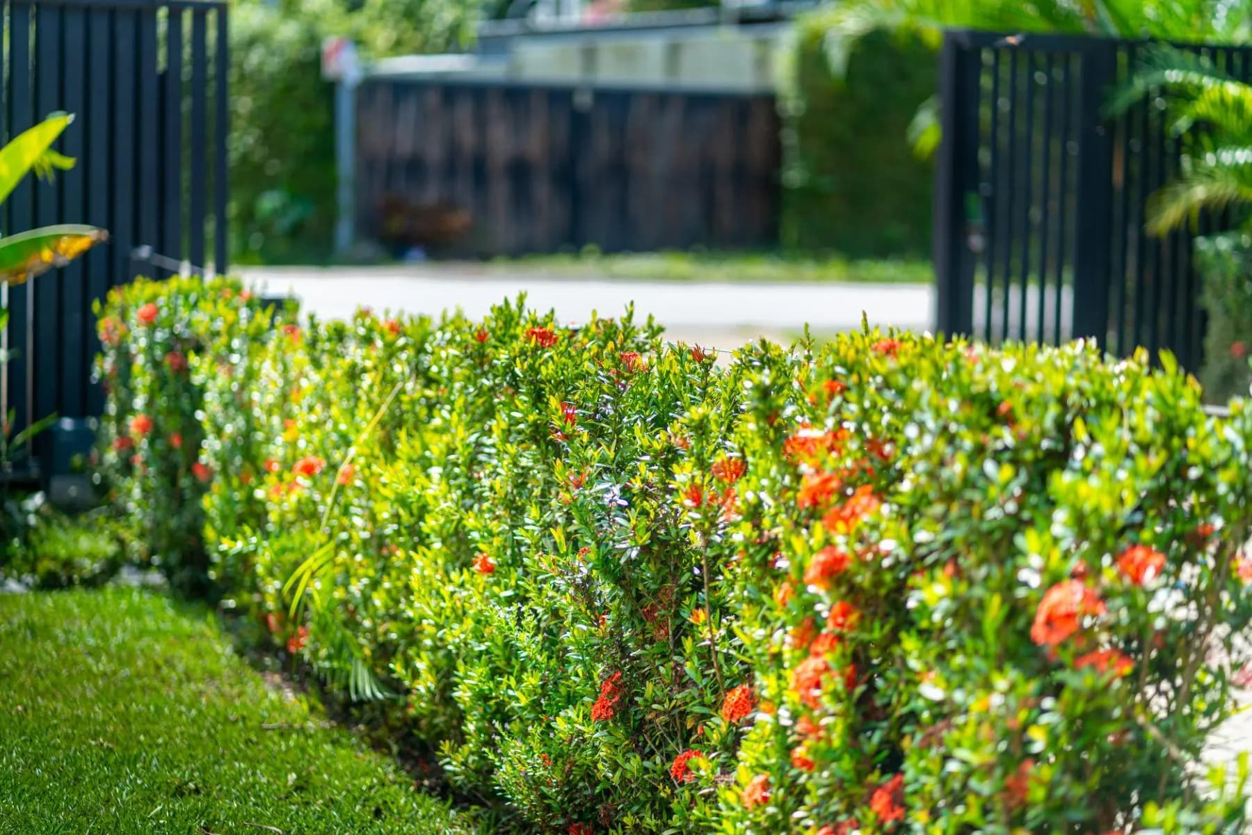 Casa en Bahía Ballena