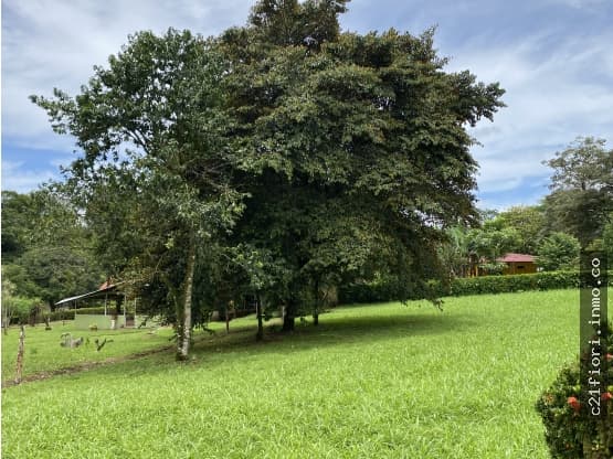 Terreno en Peñas Blancas
