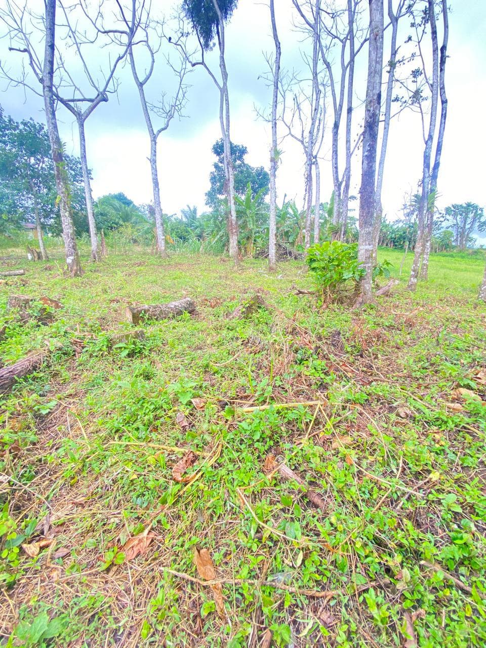 Terreno en La Tigra