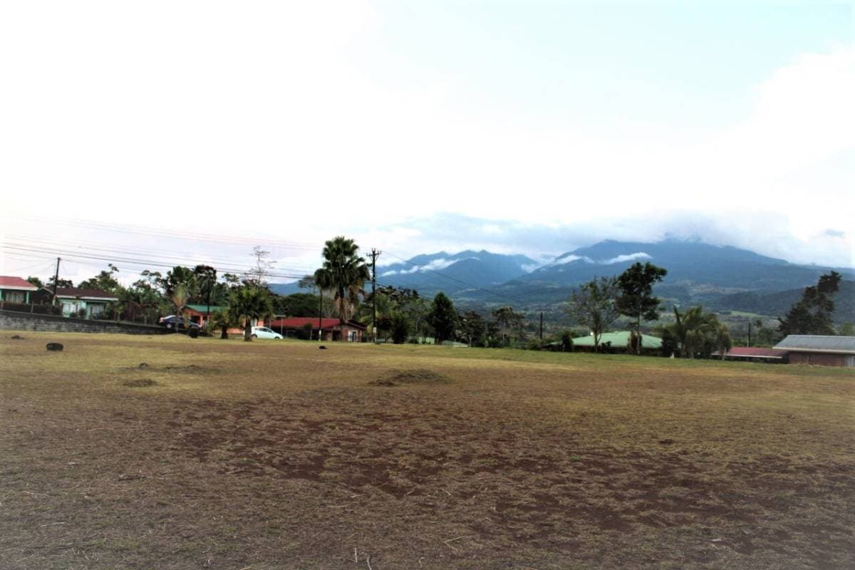 Finca en Palmera
