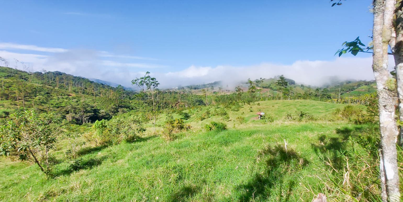 Property at Alajuela