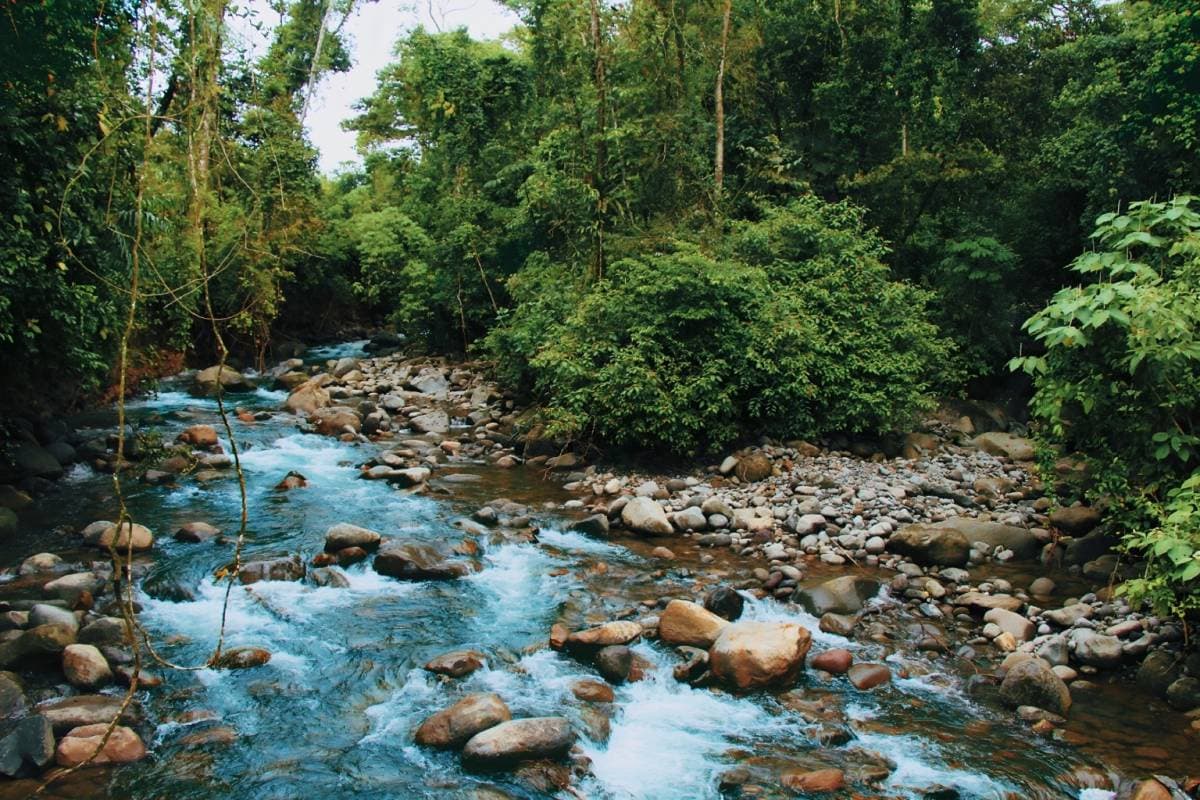 Finca en Aguas Zarcas