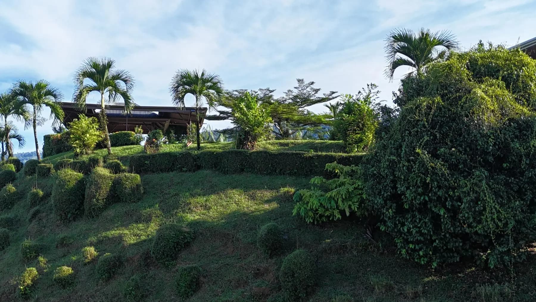 Apartamento en Bahía Ballena