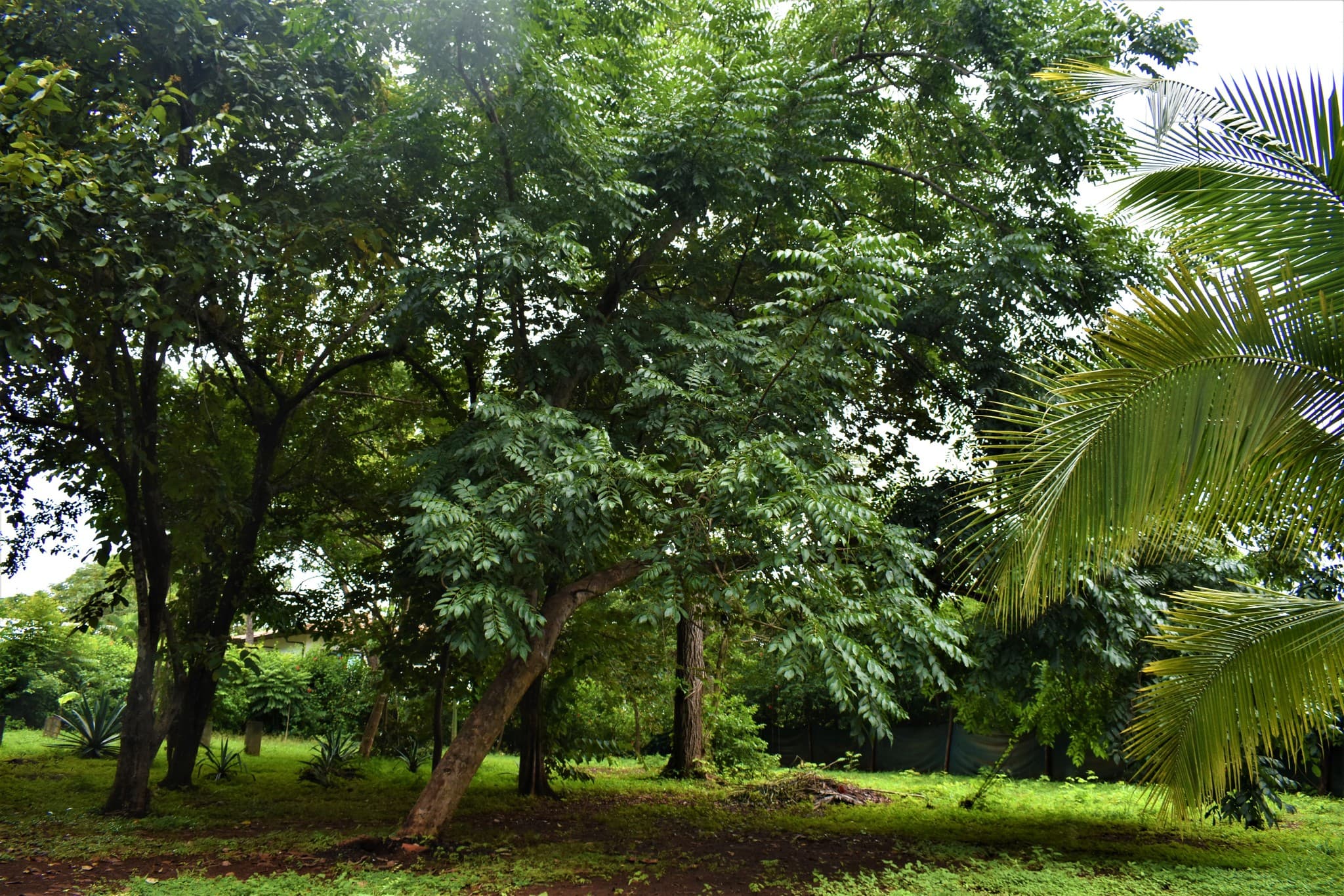 Terreno en Rancho Agua Dulce