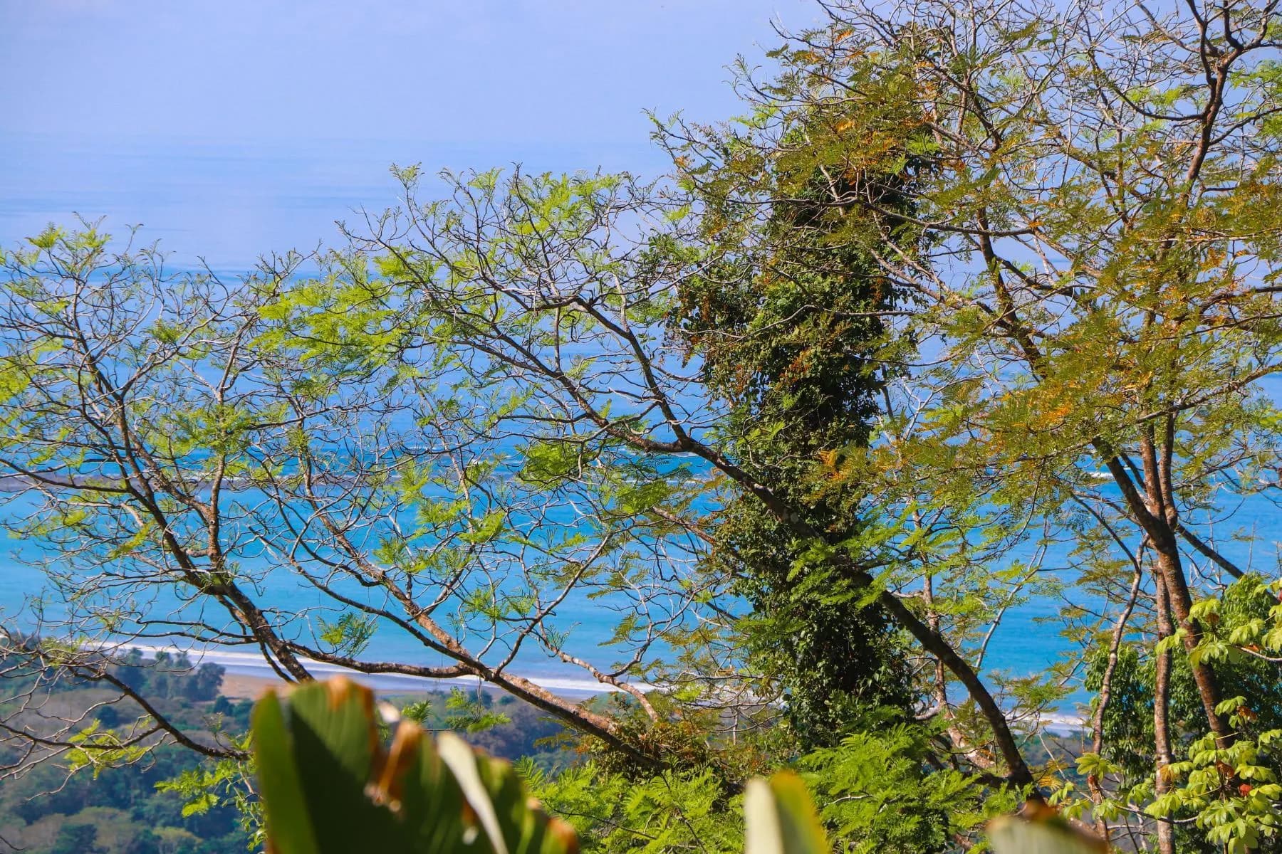 Terreno en Bahía Ballena