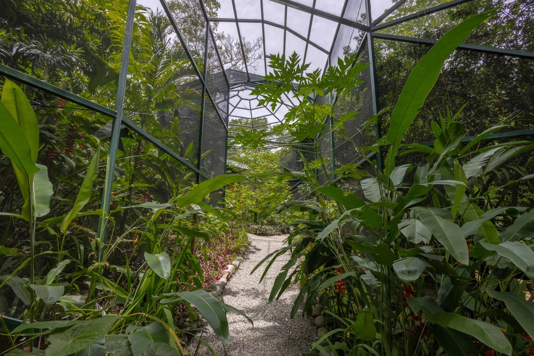 Propiedad en Cóbano