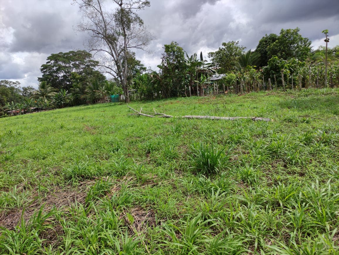 Terreno en Upala