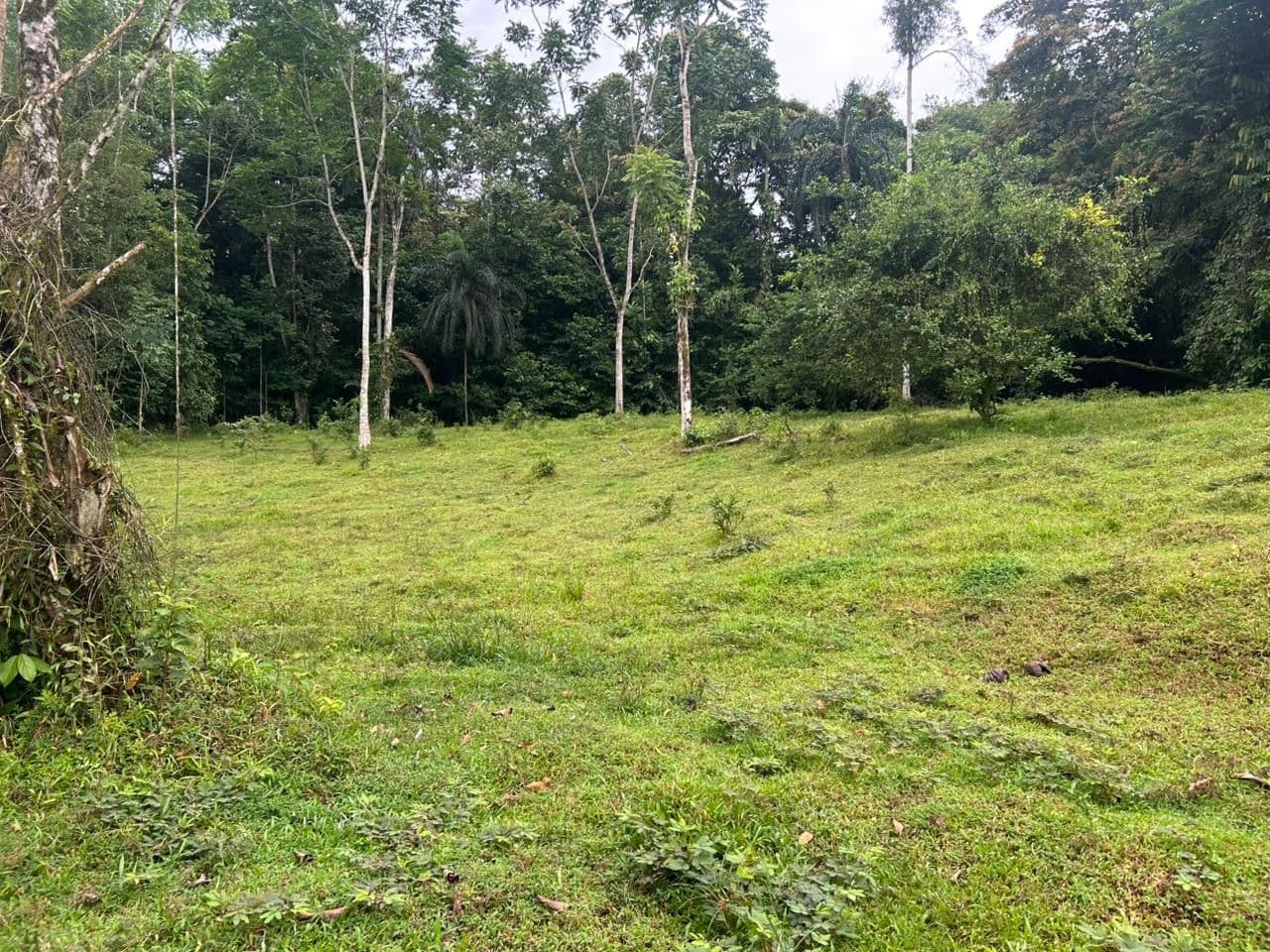 Terreno en Horquetas