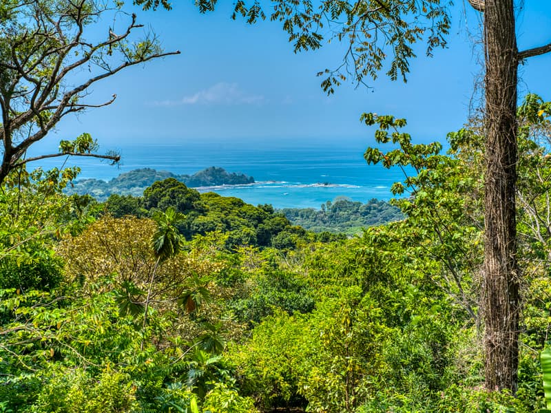 Property at Bahía Ballena