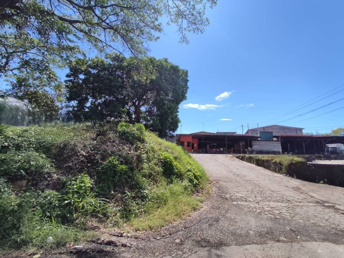 Propiedad en Alajuela